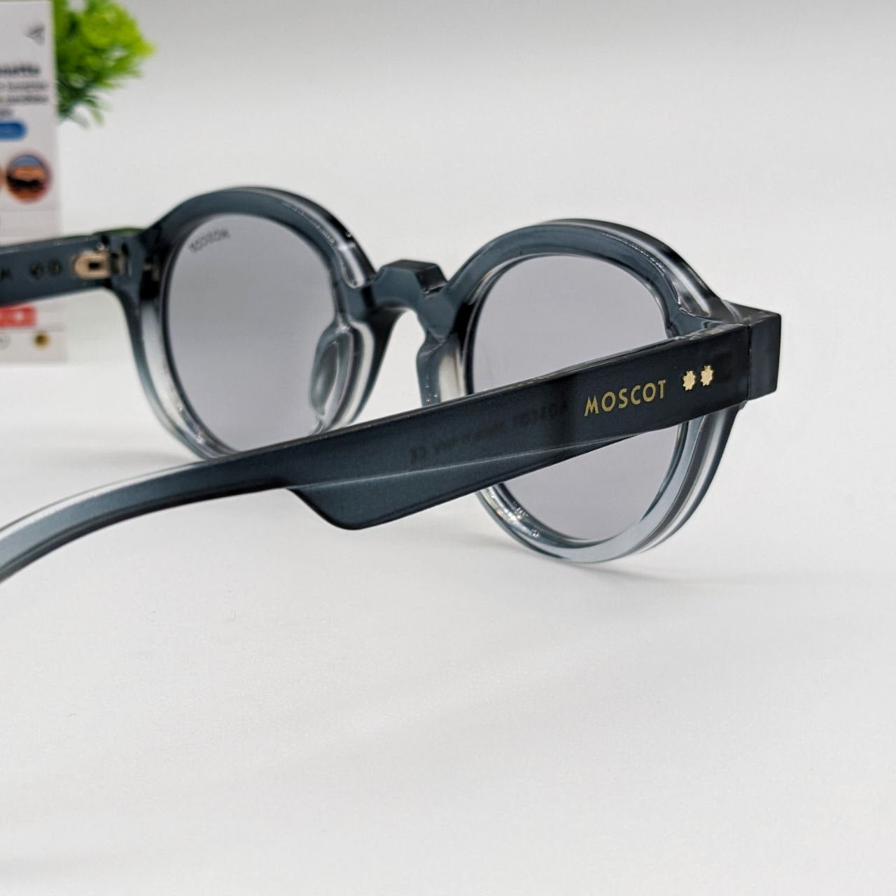 Moscot Fame