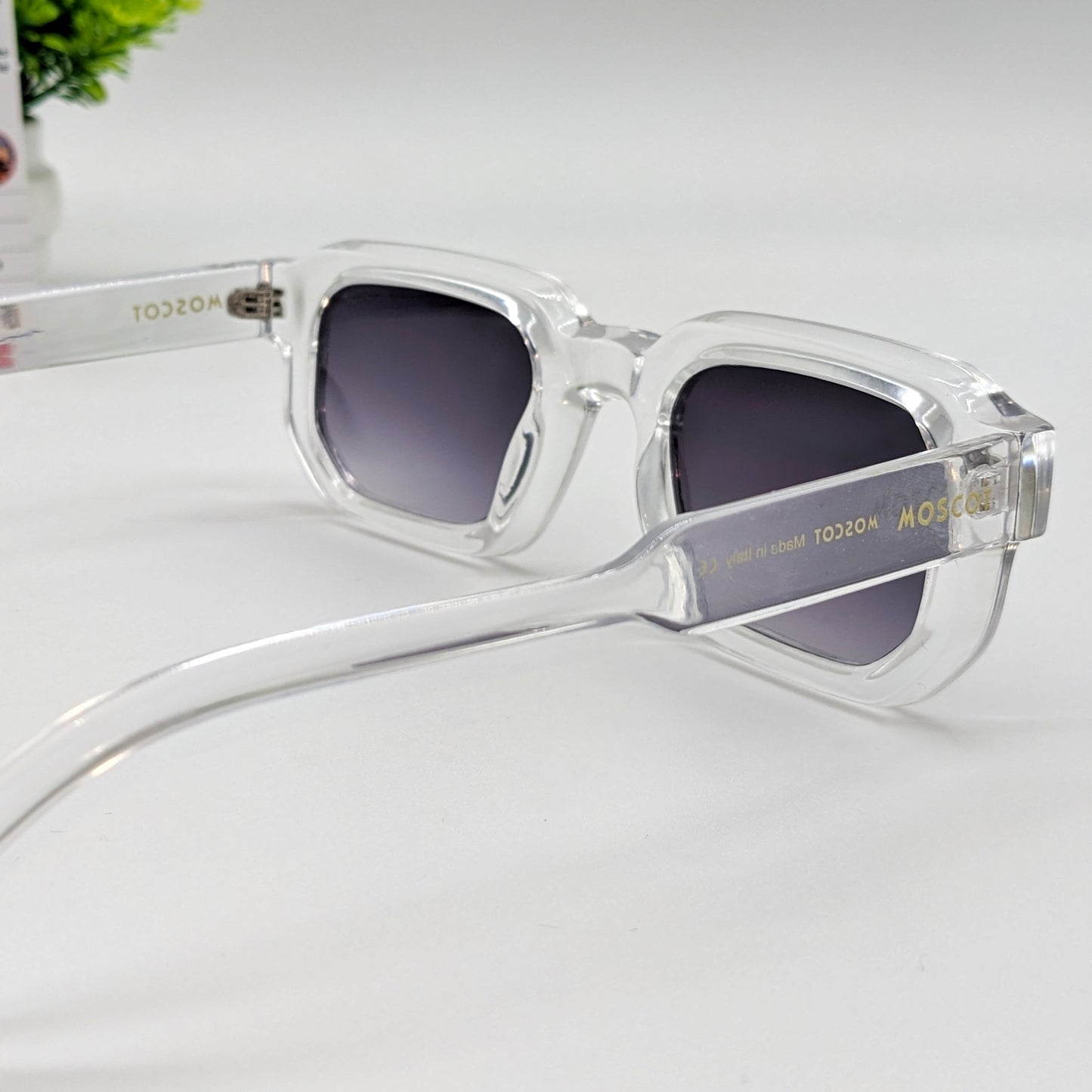 Moscot Halo