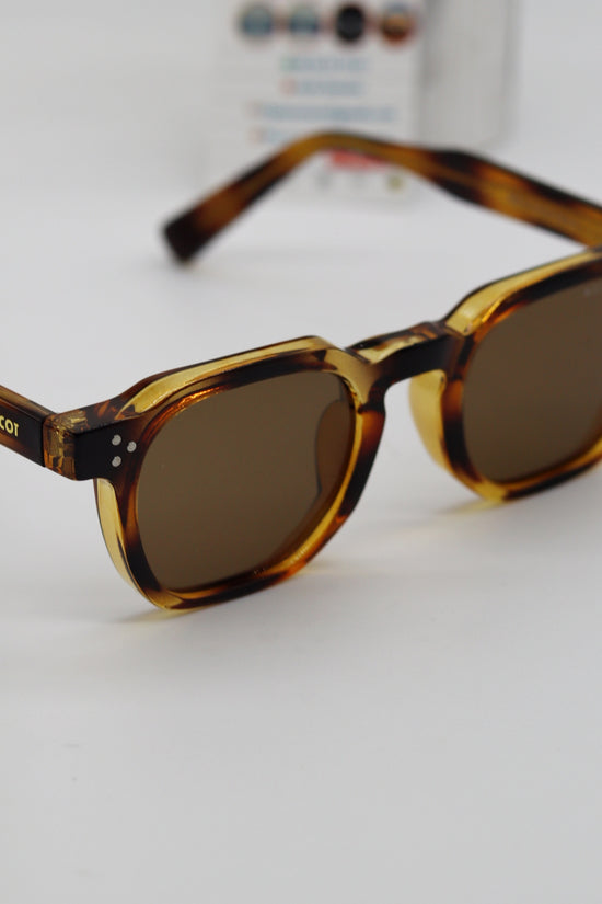MOSCOT BULK 2