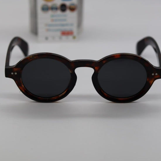 Moscot Zolman 2