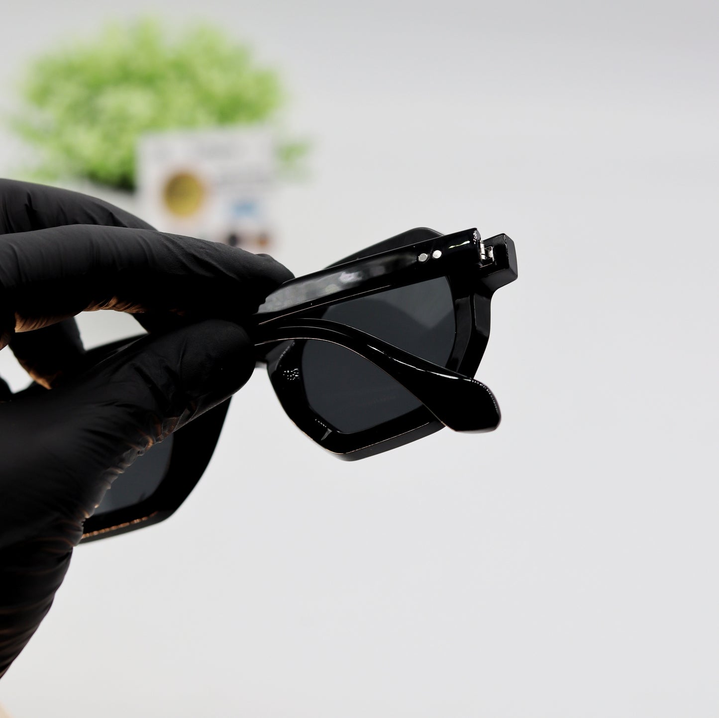 Moscot Jake 2