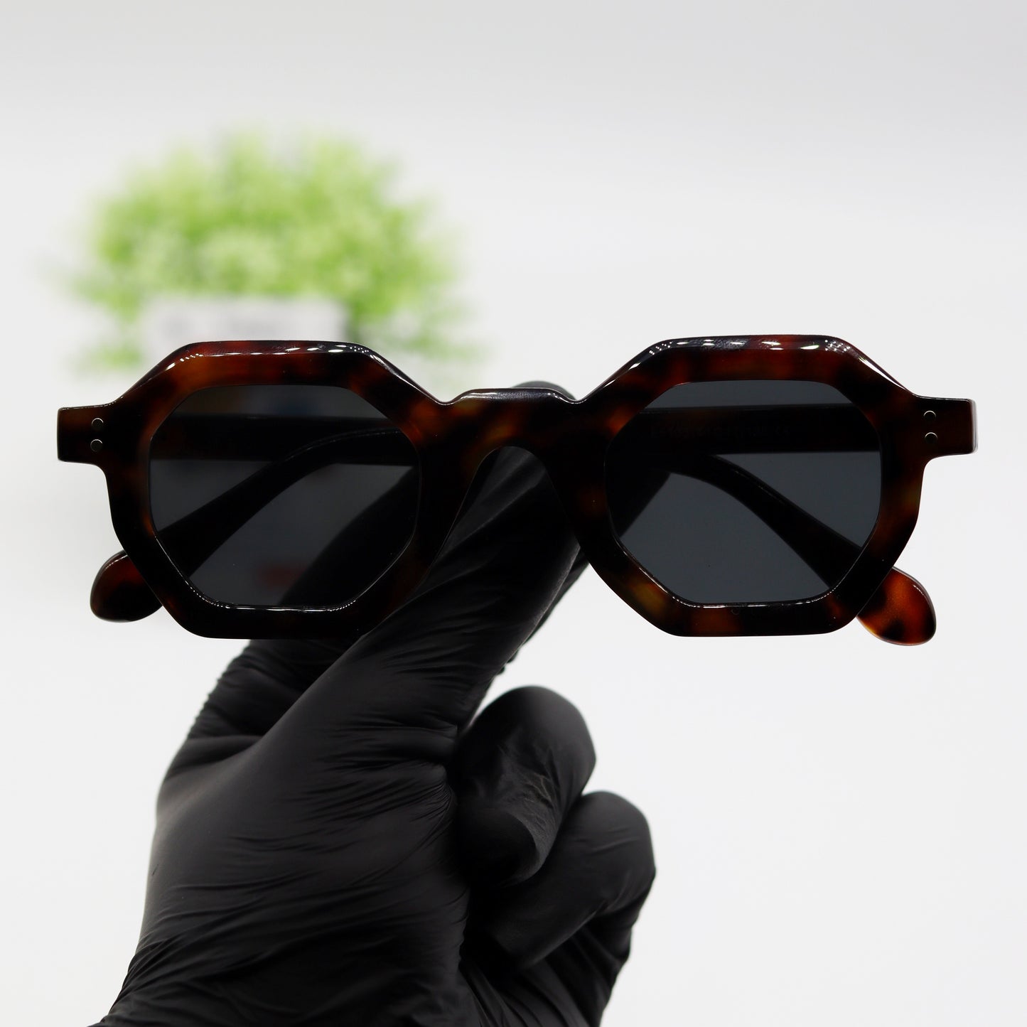 Moscot Jake 5