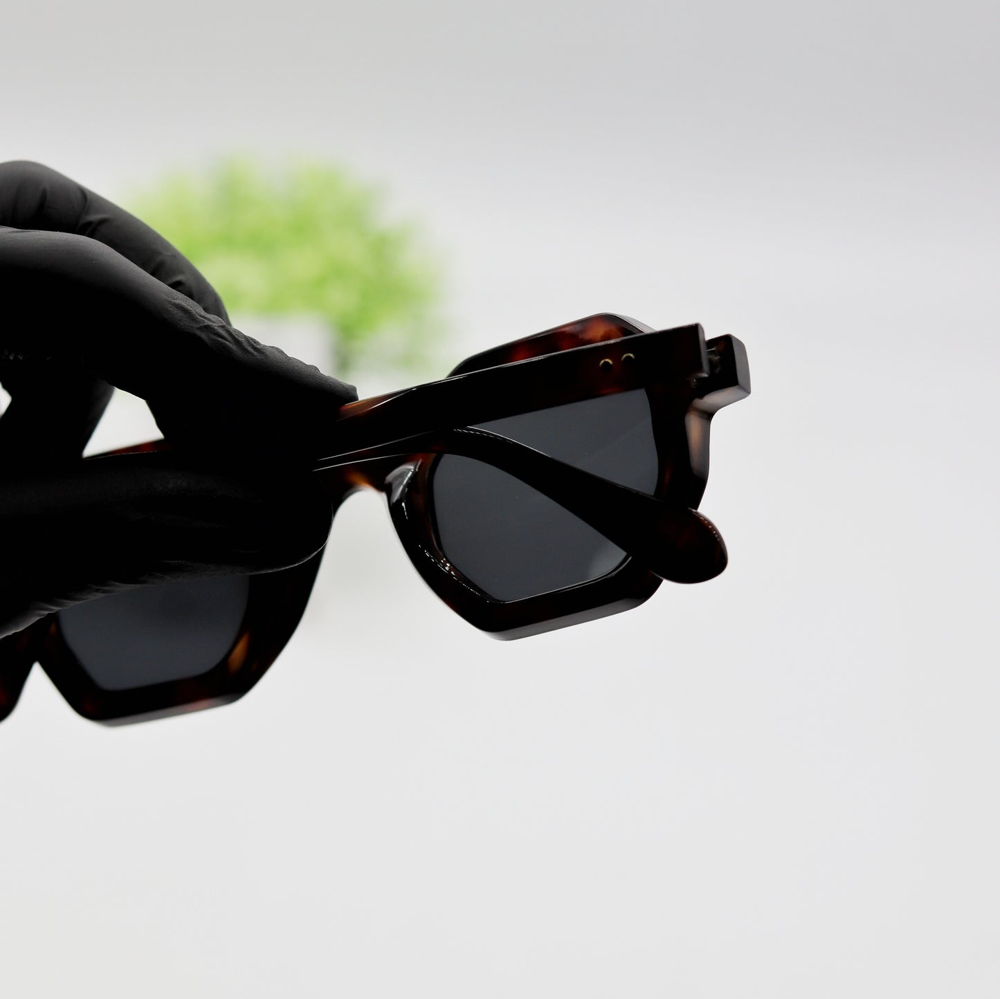 Moscot Jake 5
