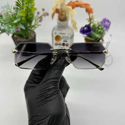 Cartier CAMÉLION 2